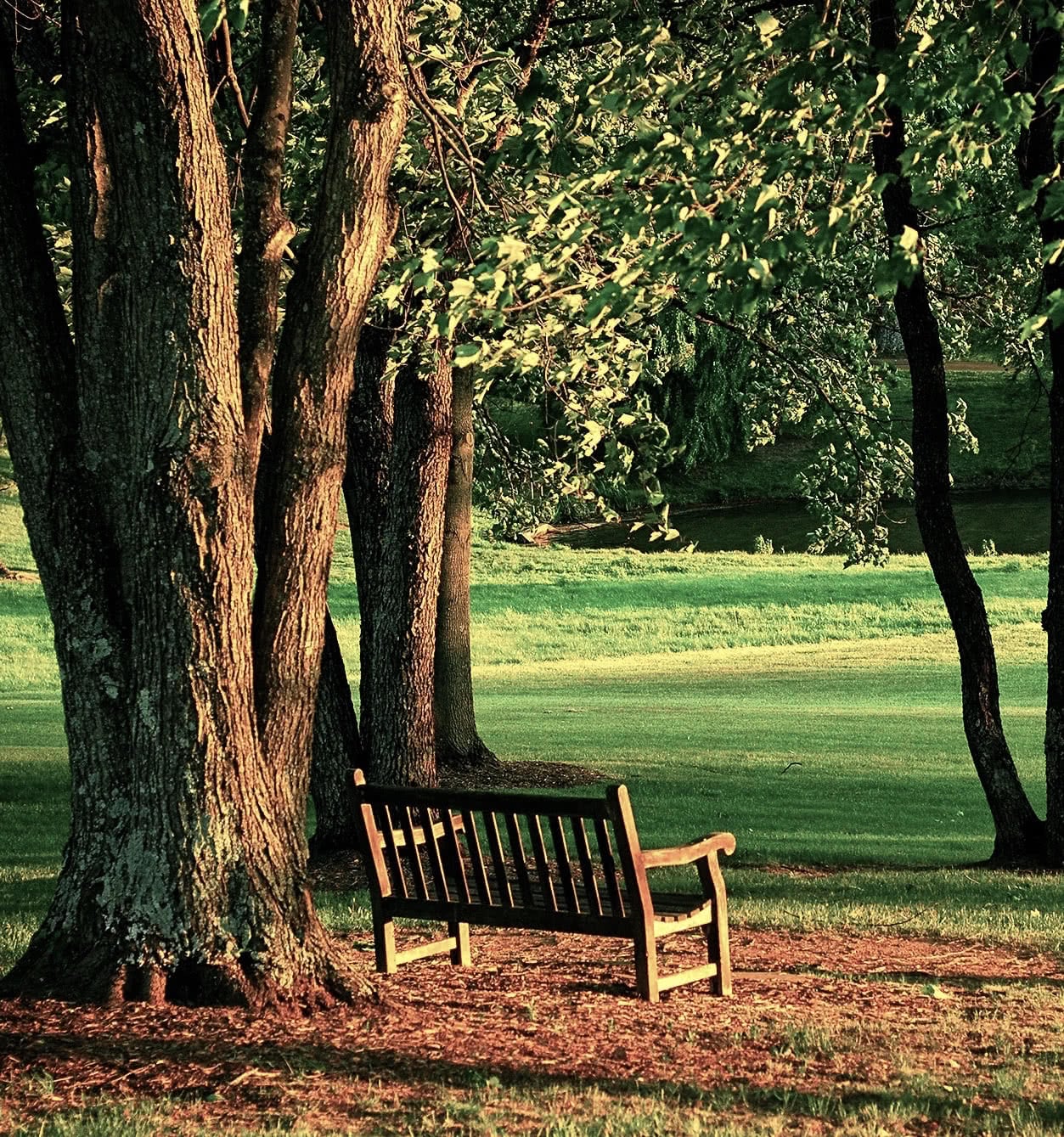 park bench in spring